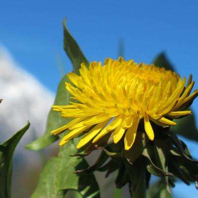 宝威体育官方app下载截图