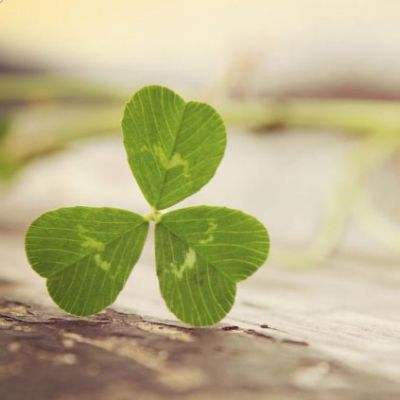 BB贝博平台登录app手机app下载